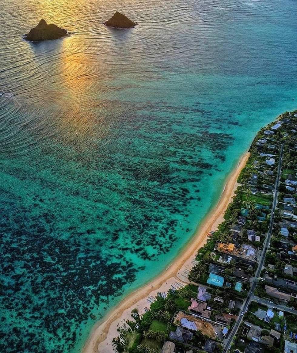 Contact - Anna Mathisen