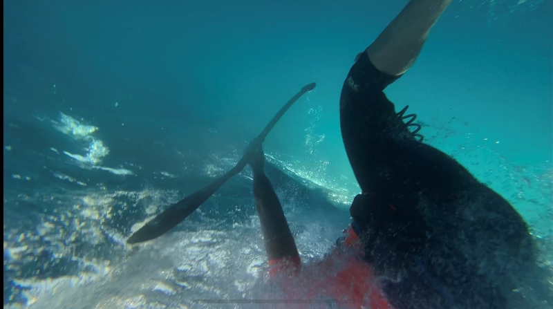 Practice Your Remount - Anna Mathisen