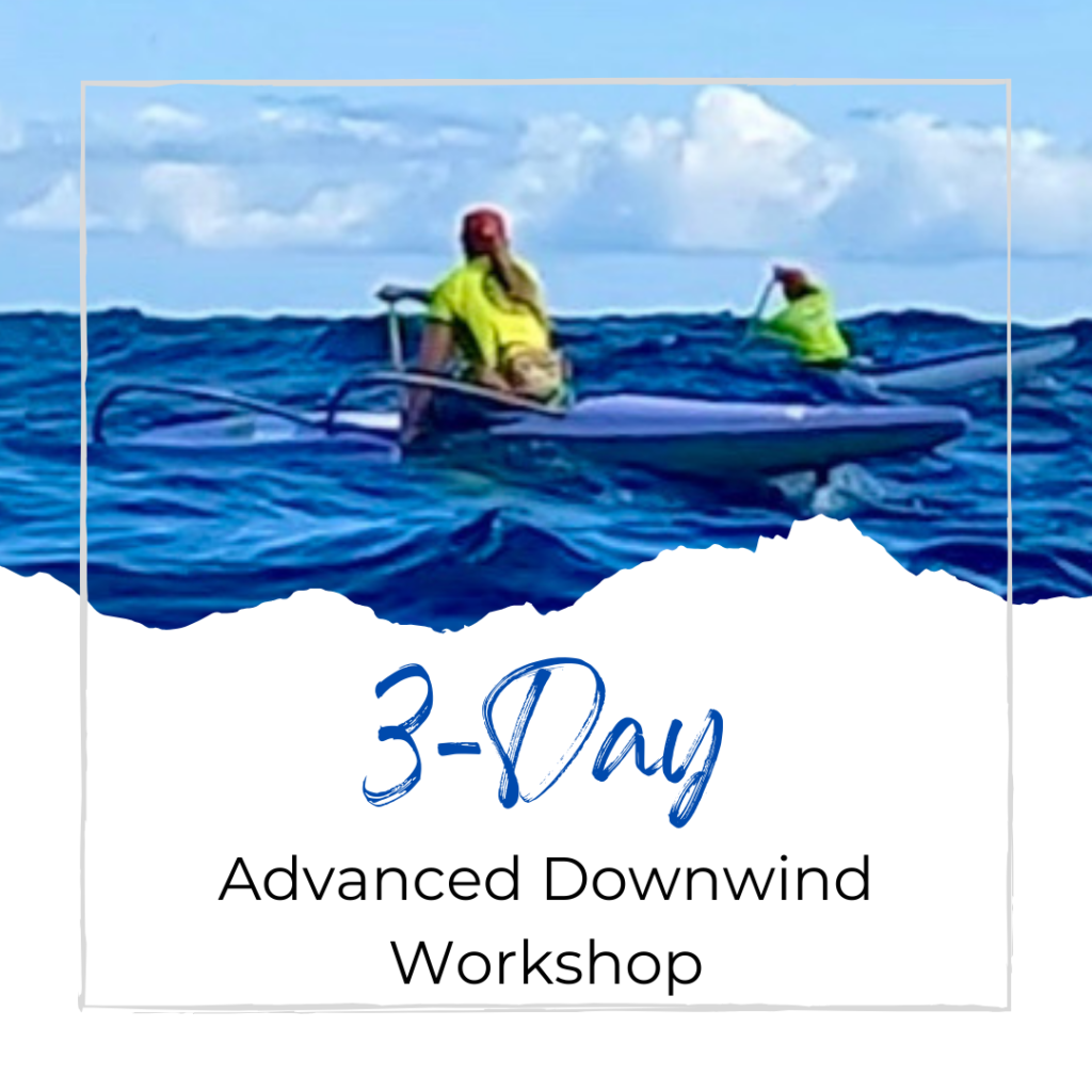 3 day advanced 0c1 workshop